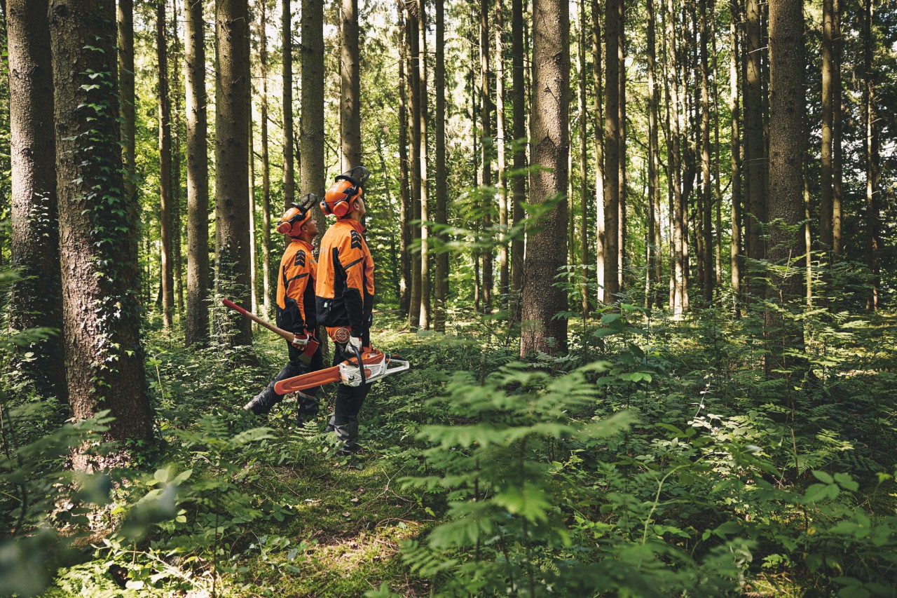 История на STIHL